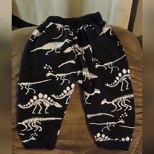 Black Dinosaur Print Pants